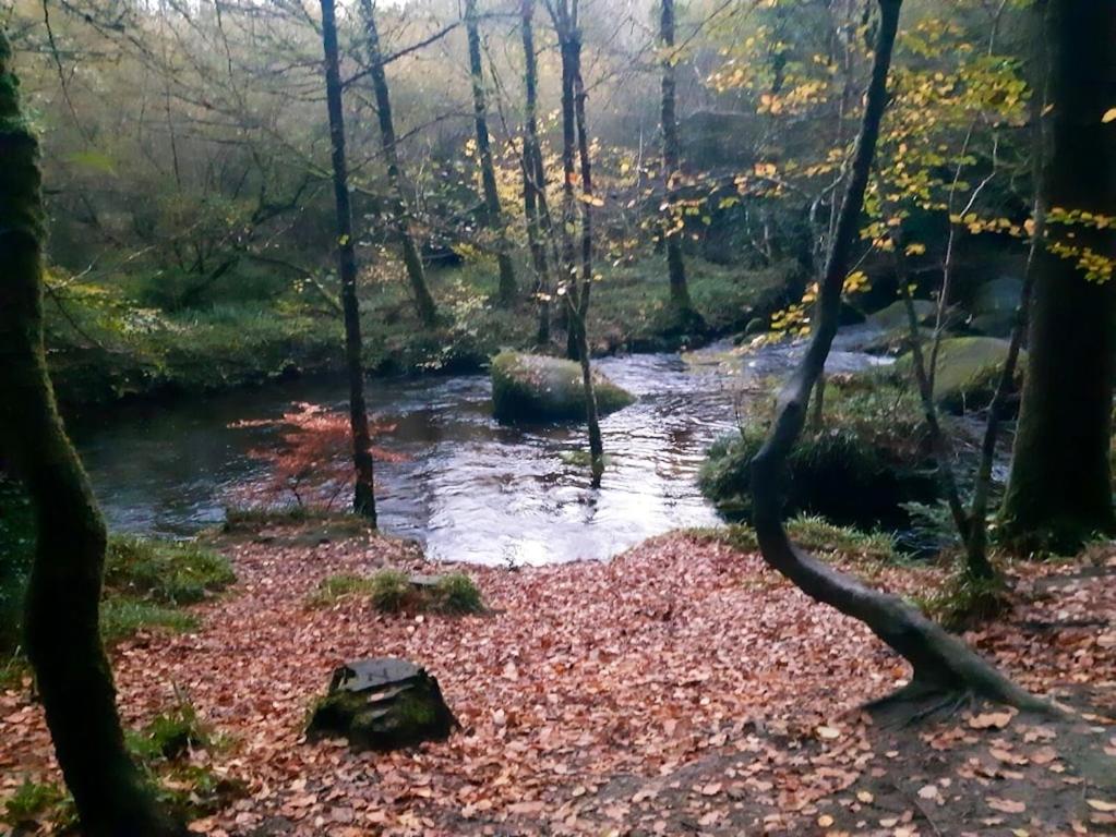 Príroda v okolí dovolenkového domu