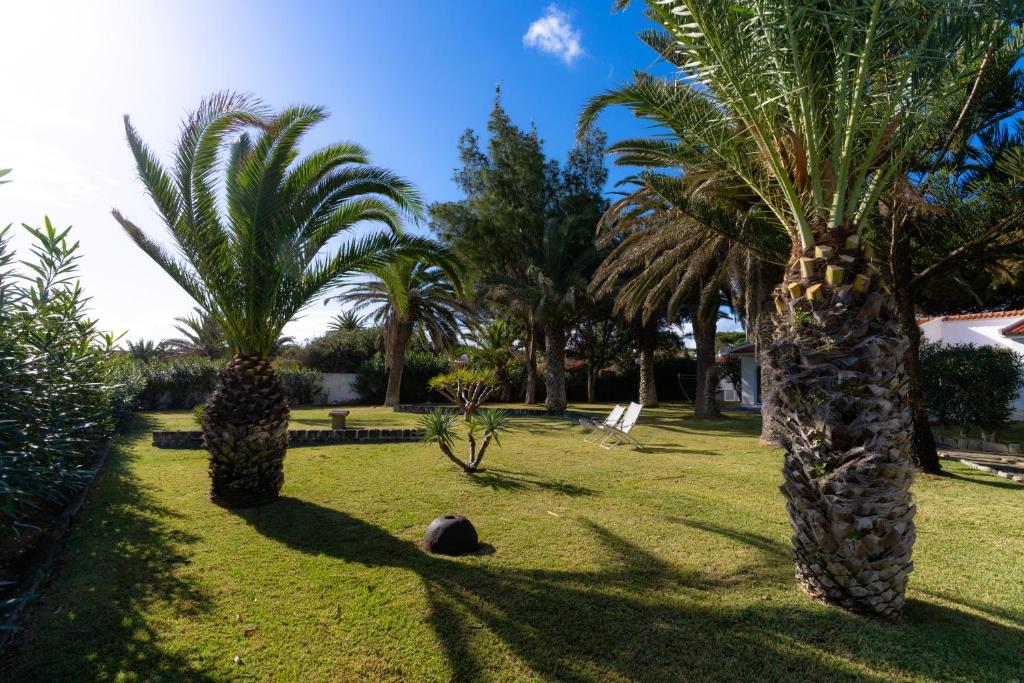 Zahrada ubytování Dune Beach CoLiving