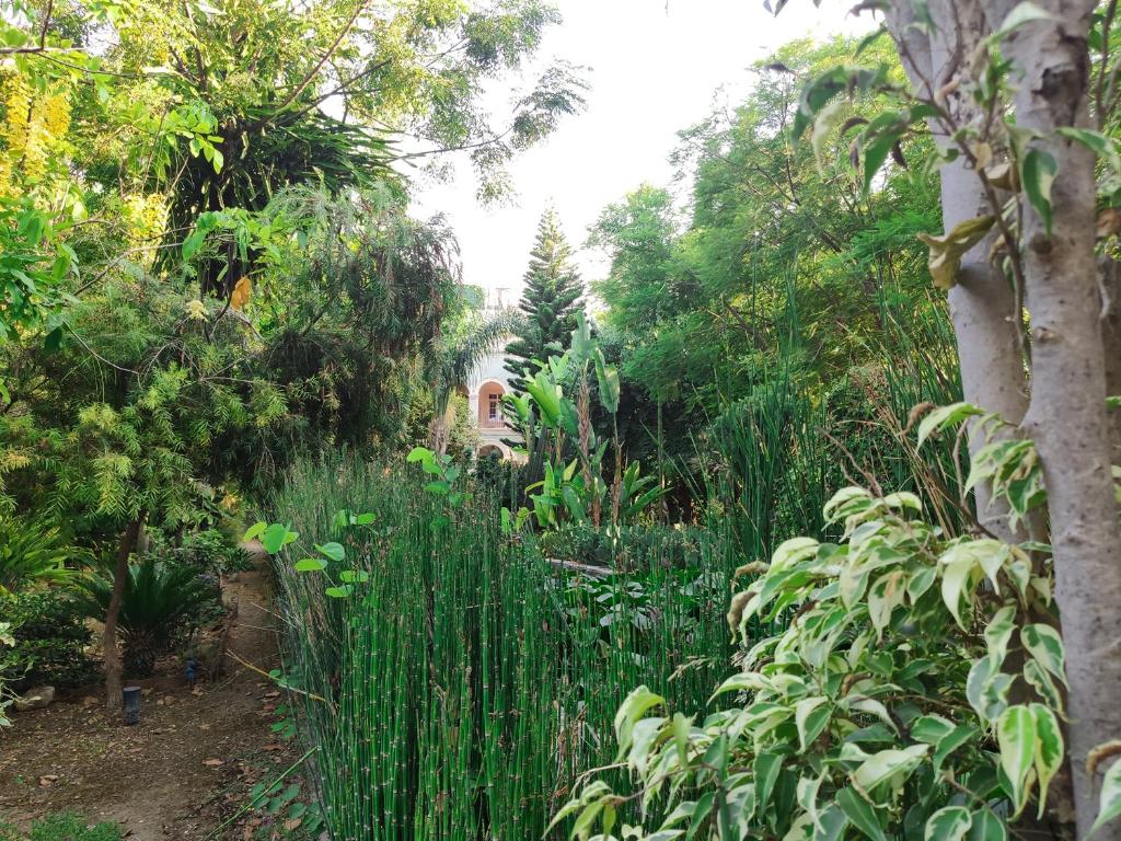 Zahrada ubytování Babil Bahceleri - Gardens of Babel