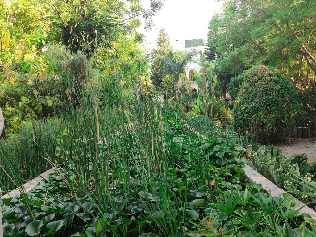 Zahrada ubytování Babil Bahceleri - Gardens of Babel