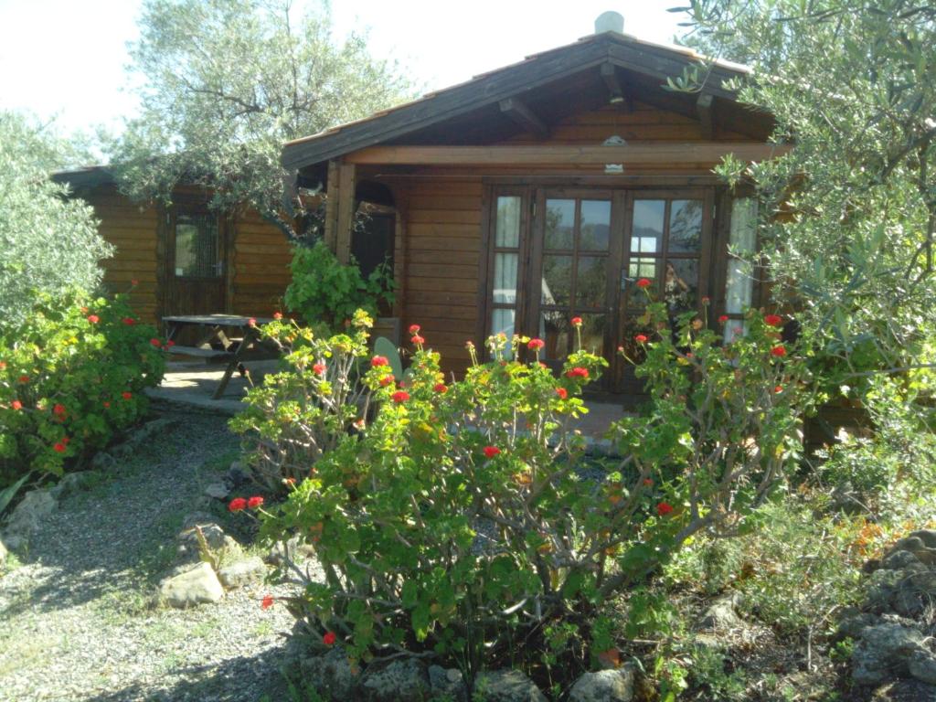 Zahrada ubytování Finca La Piedra Holidays