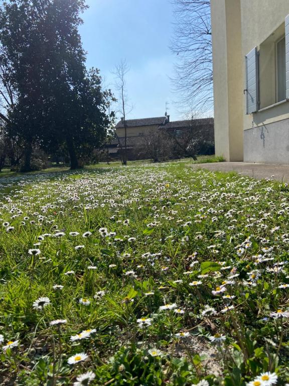 Zahrada ubytování Acero Giallo