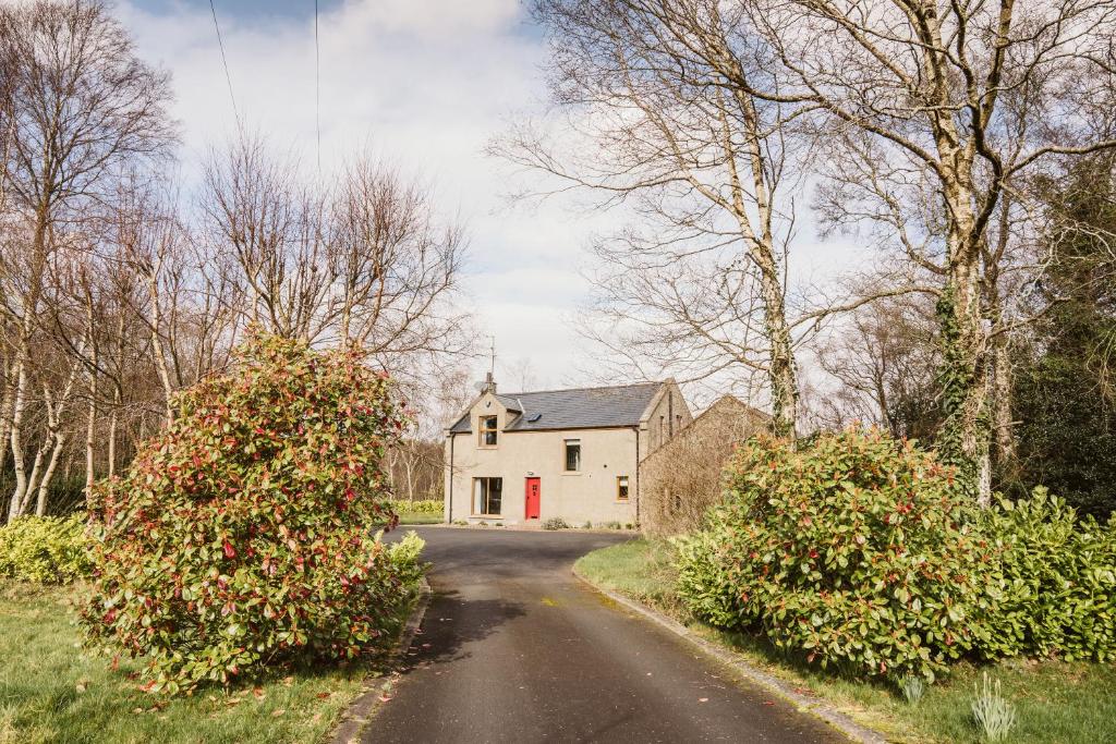 a road leading to a white house with a red door at Valley Lodge Enniskillen in Glenross