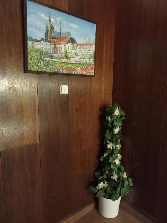 Φωτογραφία από το άλμπουμ του Old Prague House στην Πράγα