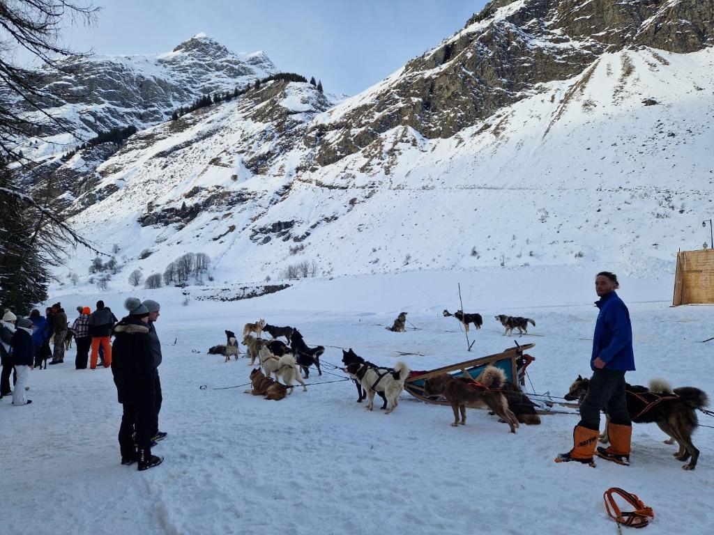 a group of people and a group of dogs in the snow at Chalet la Grande Motte in Champagny-en-Vanoise