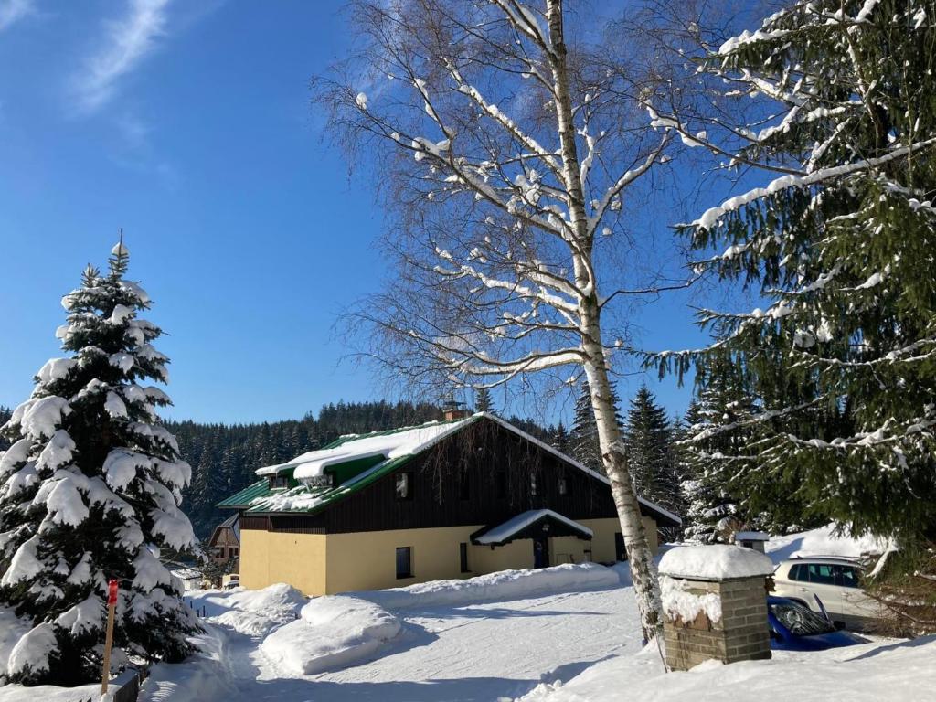 a cabin in the snow with a snow covered tree at Penzion Petra, Harrachov in Harrachov