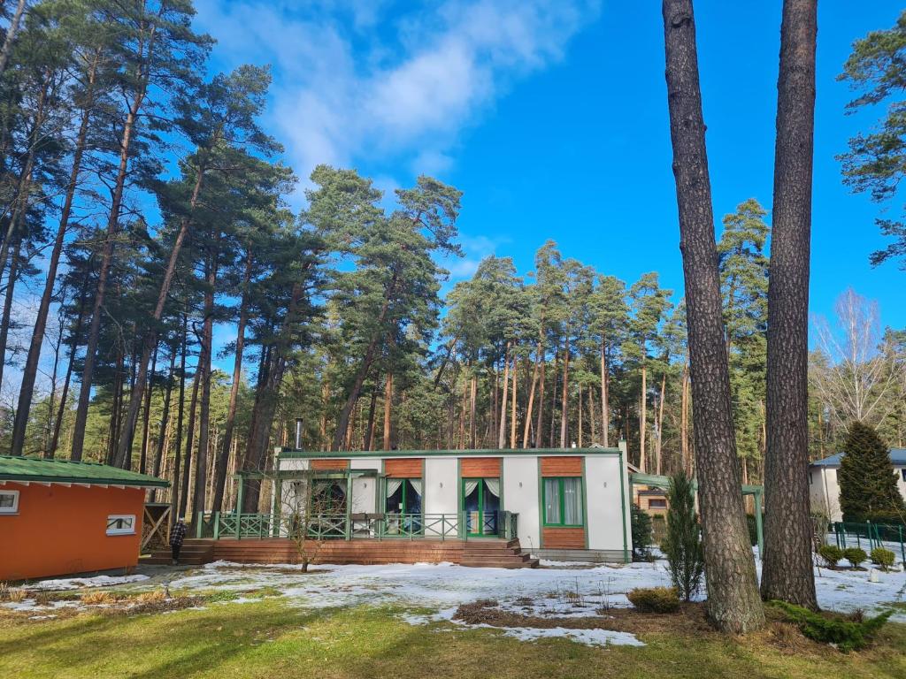 une maison dans les bois avec des arbres dans l'établissement Laimas, à Jurmala