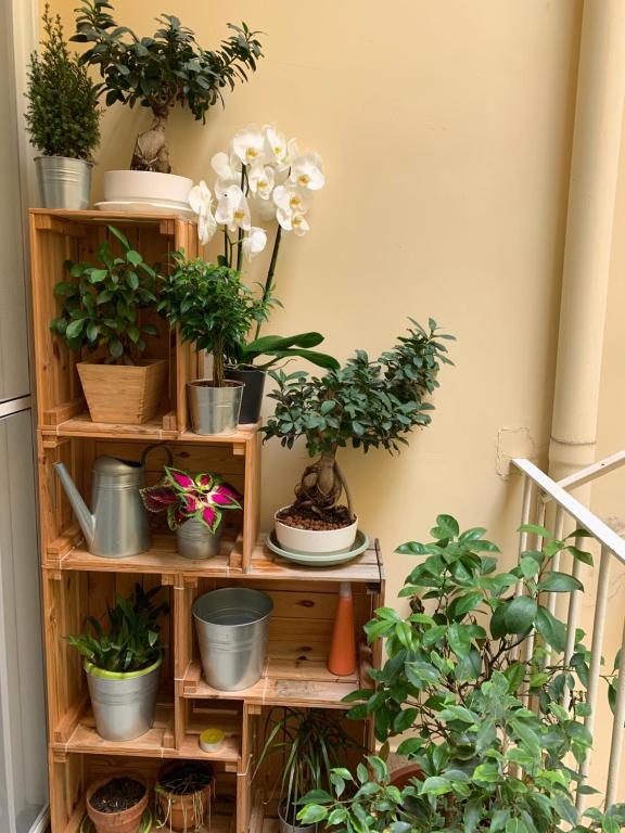 Zdjęcie z galerii obiektu RaRoom Boutique Home w mieście Torre del Greco