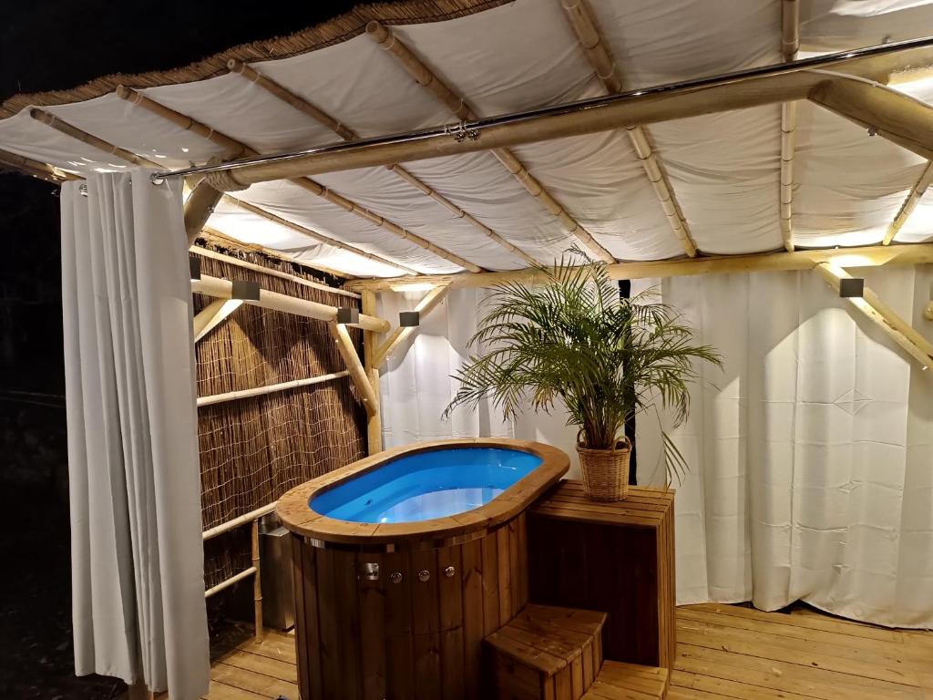 a jacuzzi tub in a tent with a plant at La Tiny du Midi in Tourrettes-sur-Loup