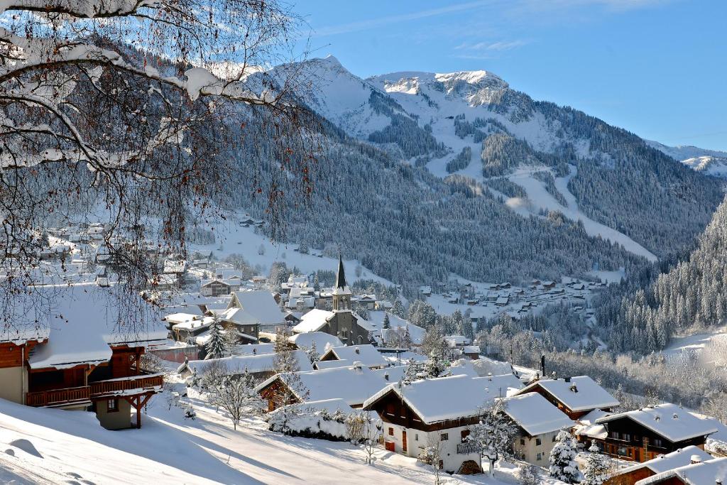 Appartement dans petit chalet v zime