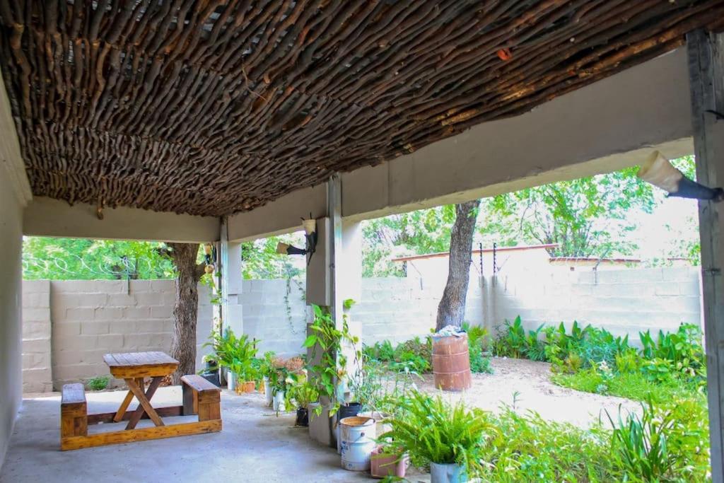 a patio with a wooden bench and plants at House Samaika in Maun