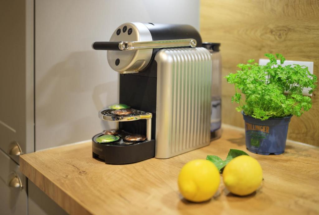 Jimmy's Apartments Dandelion - Resim 20