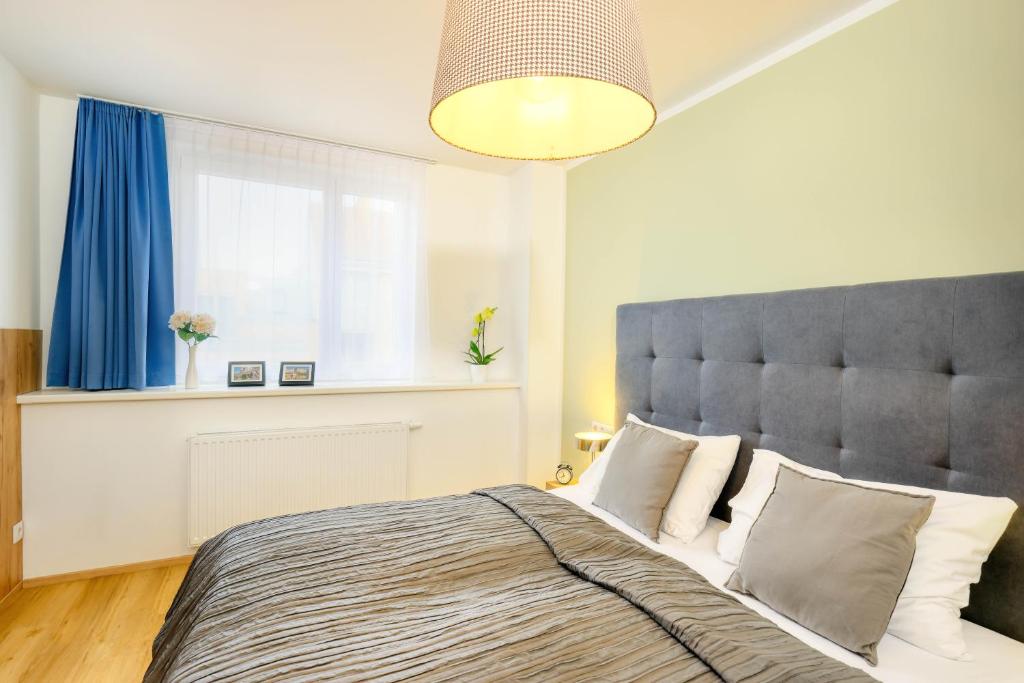 Jimmy's Apartments Dandelion - Resim 40