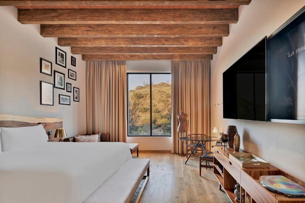 Live Aqua San Miguel de Allende photo 5