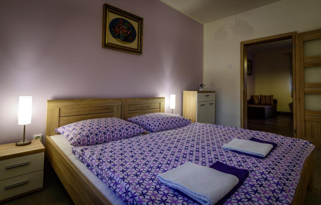Posteľ alebo postele v izbe v ubytovaní Penzion Sina
