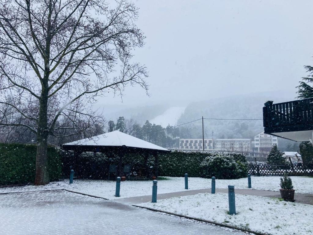 Hotel Pohorje - Resim 43