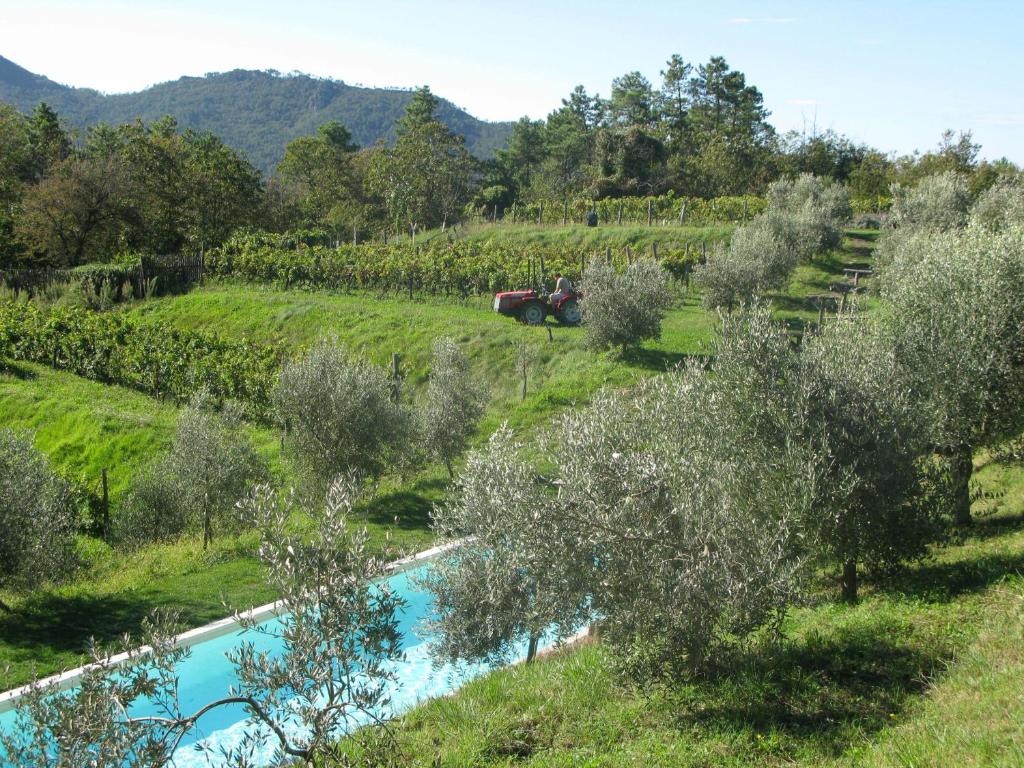 a farm with a river and olive trees and a tractor at Sostio a Levante in Framura