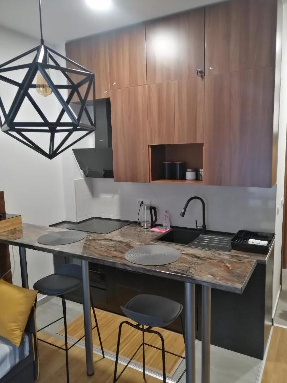 Een keuken of kitchenette bij Divčinova1 Reset A2