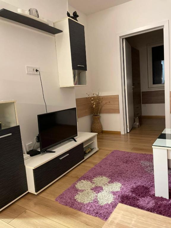 uma sala de estar com uma televisão e um tapete roxo em APARTMAN MIK NOVI SAD em Novi Sad