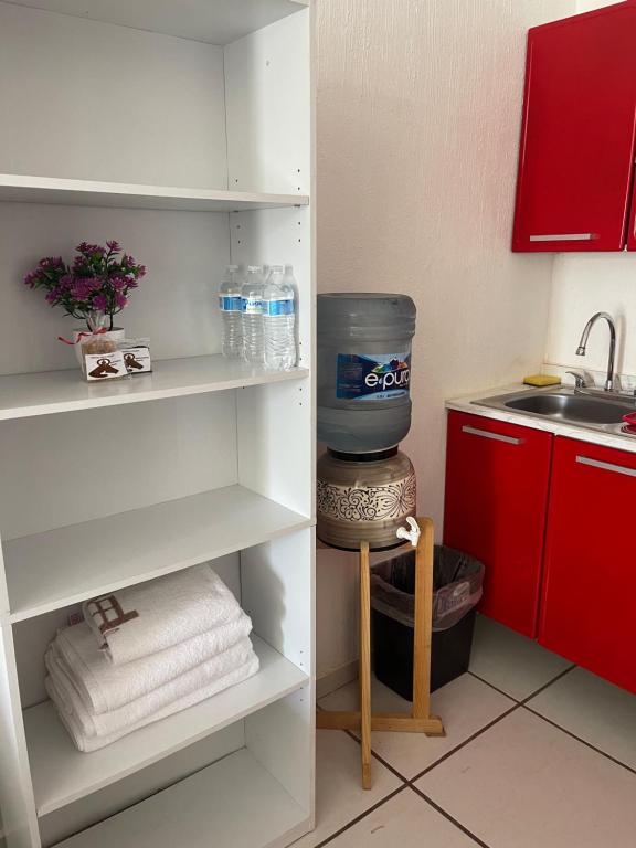 Kuchyň nebo kuchyňský kout v ubytování DEPARTAMENTOS ANAHUAC