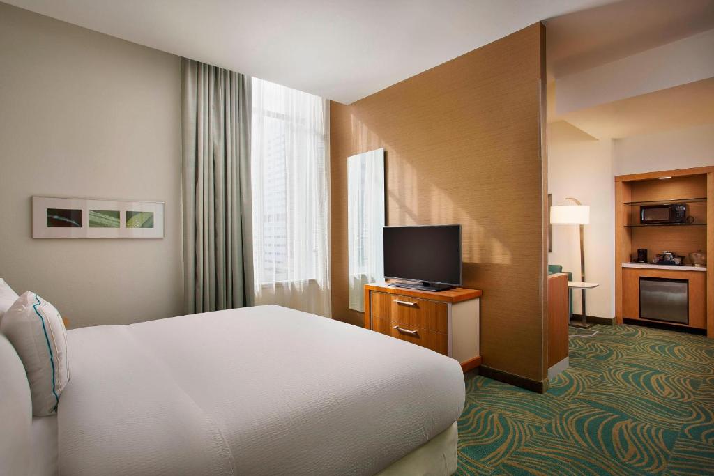 SpringHill Suites by Marriott Houston Downtown/Convention Center - Grote King Studio