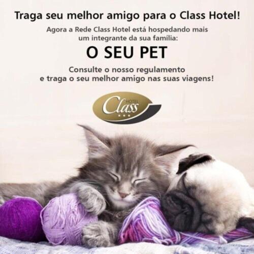 Domácí mazlíčci ubytovaní s hosty v ubytování Class Hotel Passos Rio Grande Portal da Canastra