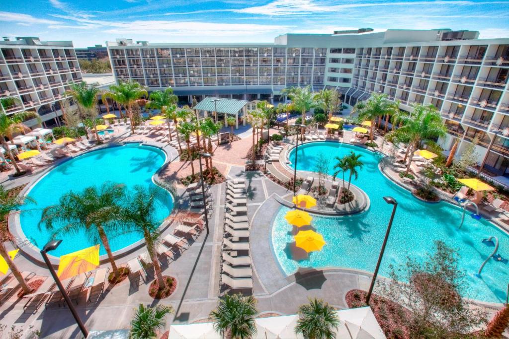 an aerial view of the pool at the resort at Sheraton Orlando Lake Buena Vista Resort in Orlando