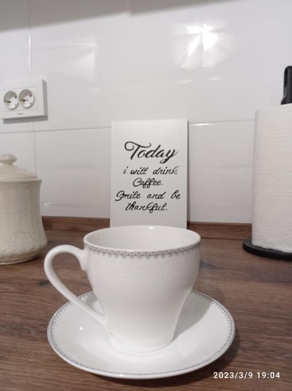 Fibula Apartment Zadar - 19