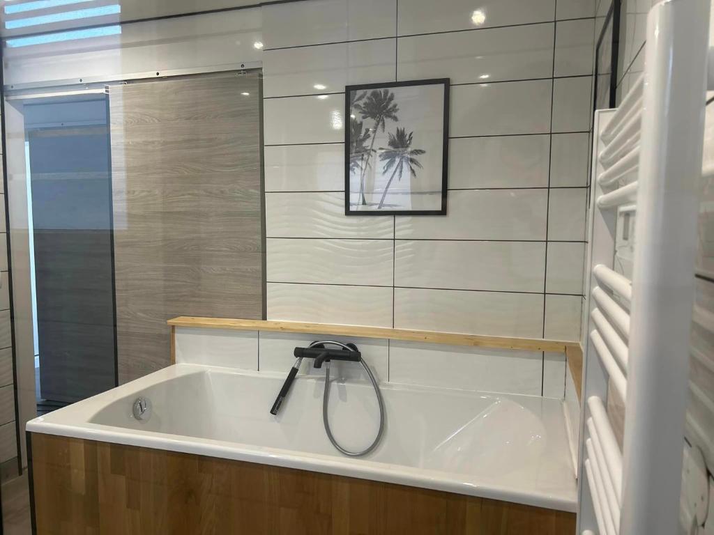 a bath tub with a shower in a bathroom at La Salamandre de l Olivier - Le Laurier in Aubignosc