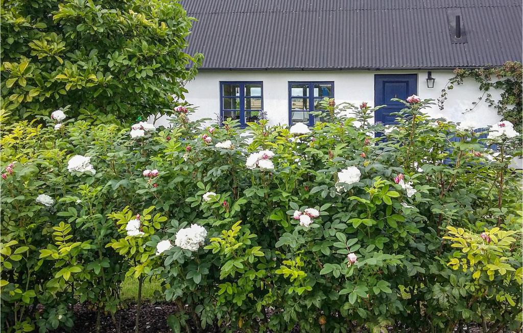 Zahrada ubytování Nice Home In Simrishamn