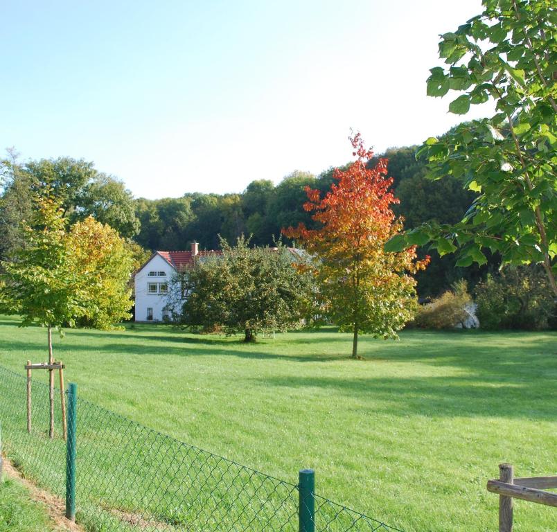 a fence in a field with a house and trees at Ferienwohnung Obermühle in Ballstädt