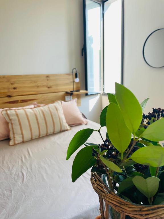 - une chambre avec un lit et une plante en pot dans l'établissement Casa Champagnat, à Mendoza