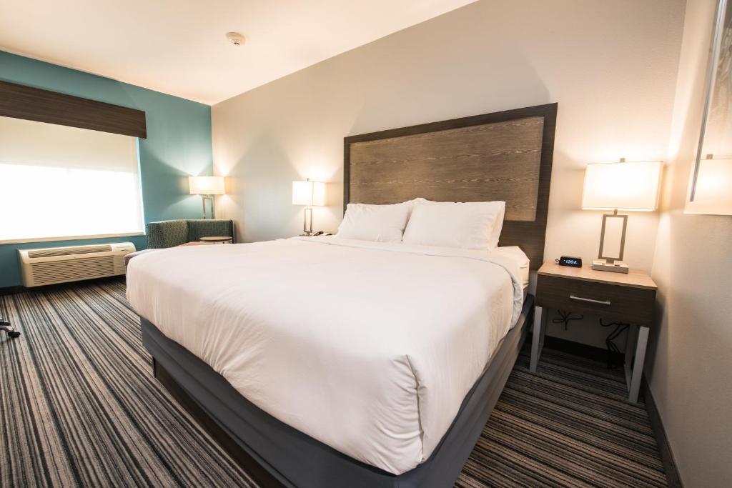 Holiday Inn Express & Suites Houston - Hobby Airport Area, an IHG Hotel - Suite Mit 1 Schlafzimmer Mit Kingsize-Bett