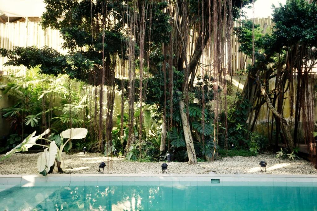 Bazén v ubytování Banyan Villa Panglao with private pool nebo v jeho okolí