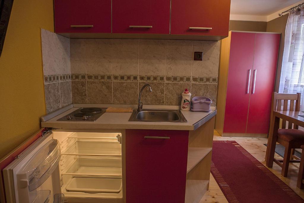 Kuchyň nebo kuchyňský kout v ubytování Žabljak City Center Apartments