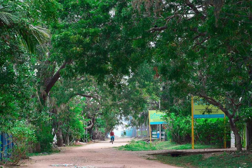 Fotografie z fotogalerie ubytování Beach Walk Villa v destinaci Trincomalee