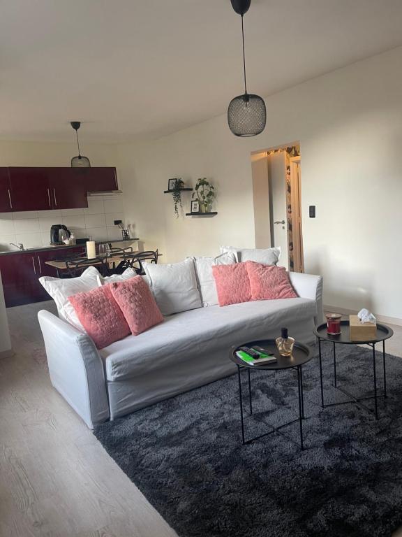 ein weißes Sofa im Wohnzimmer mit rosa Kissen in der Unterkunft Le cocon de la belle liégeoise in Lüttich
