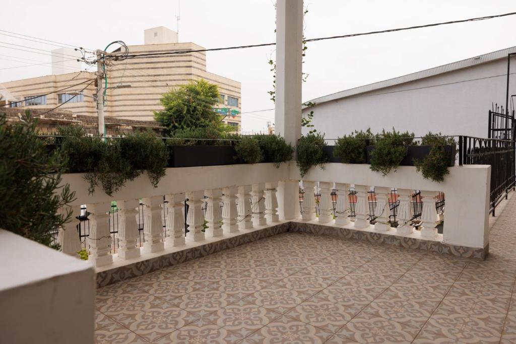 una valla blanca con plantas al lado de un edificio en magic rose קסם הורד en Tiberias