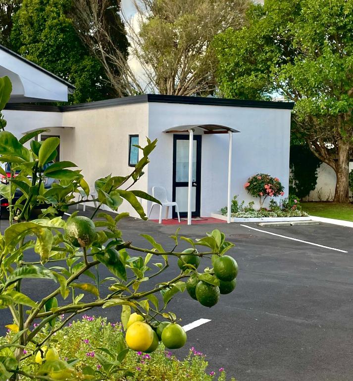 Cascades Motor Lodge - Resim 16