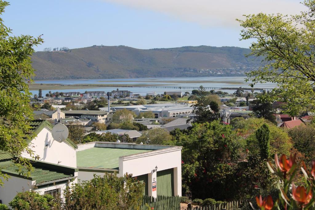 14 Mount Joy - Image 11