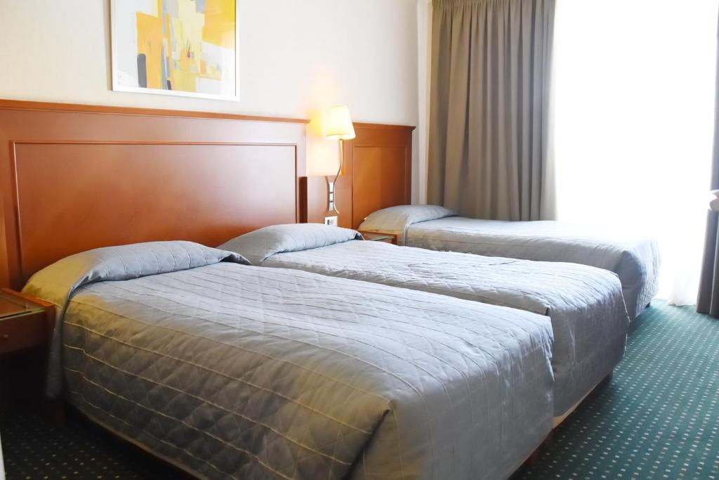 Adrian Hotel - Resim 20