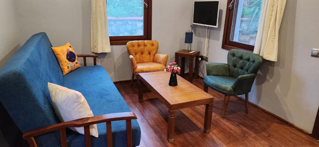 TV a/nebo společenská místnost v ubytování Stone House Hotel