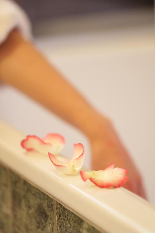 Les Jardins d'Anaïs - Resim 21