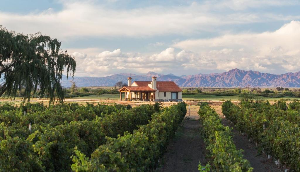 a house in a vineyard with mountains in the background at Casa Prana by Cafayate Holiday in Cafayate
