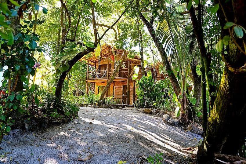 a house in the middle of a forest at Pousada Guaiamum in Itacaré