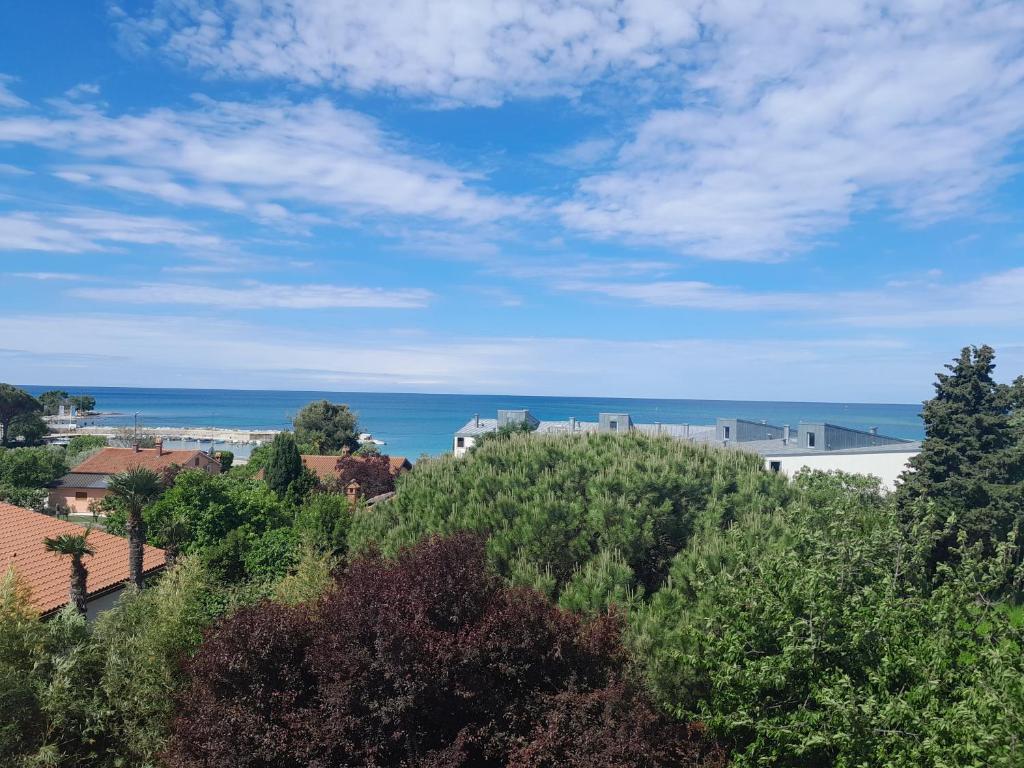 a view of the ocean from a city at Apartments Eva in Zambratija