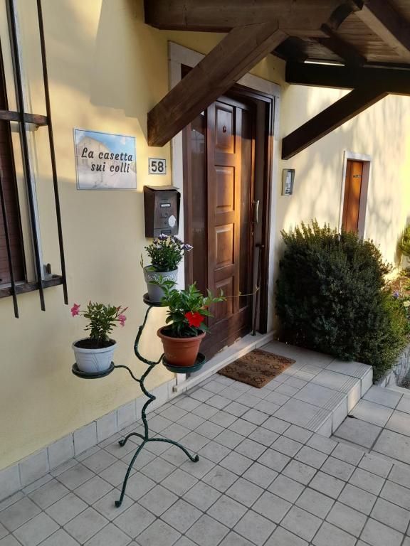 una porta d'ingresso di una casa con piante in vaso di La casetta sui colli a Perarolo