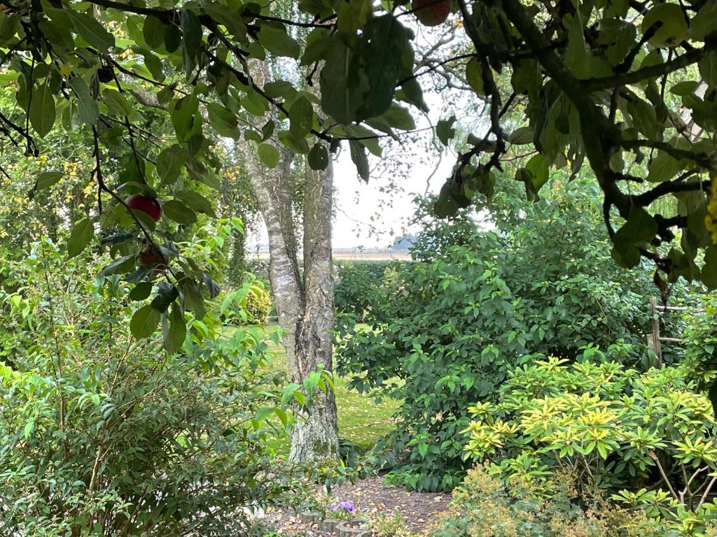 Giardino di Kragh B&B