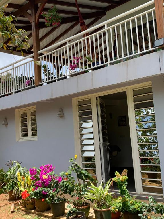 ein Haus mit Topfpflanzen und einem Balkon in der Unterkunft Bas de villa cosy in Le Lamentin