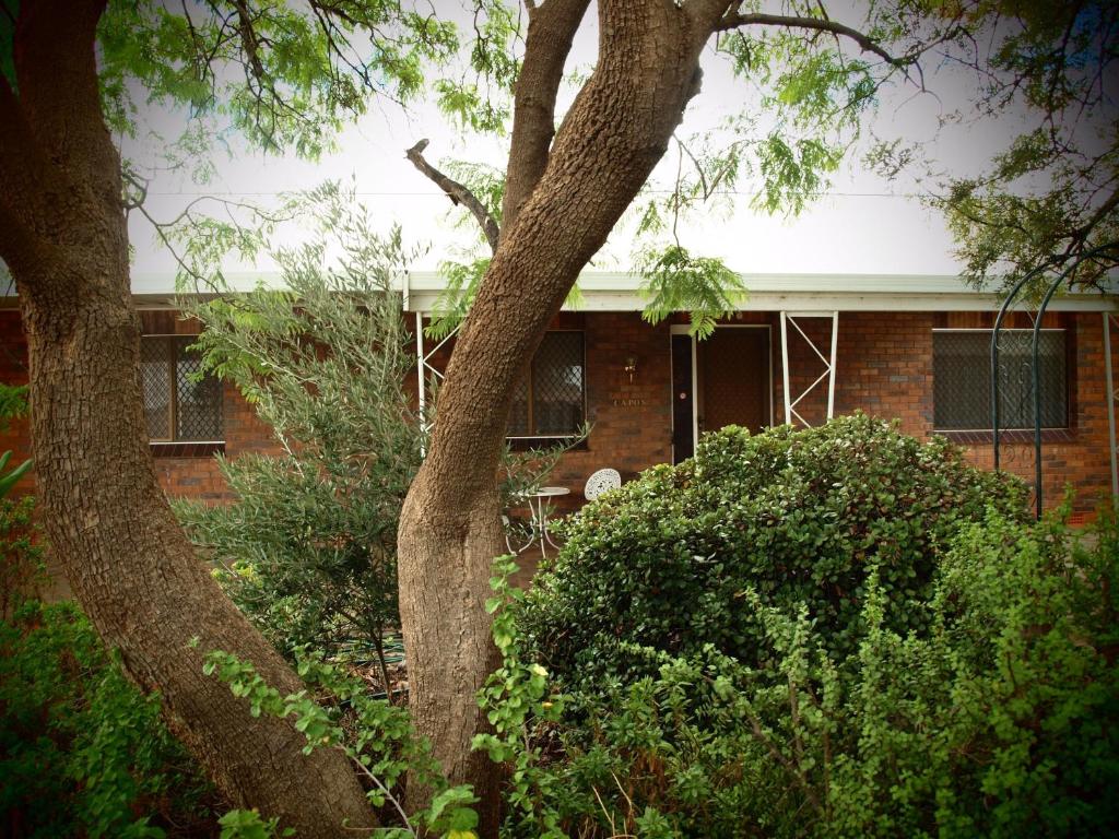 a brick building with trees in front of it at Capon Cottage in Broken Hill